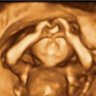 ProLife's profile picture