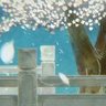 潘昭彦(Han Akihiko) 的头像