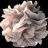 Hope4Patients's profile picture