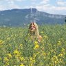 Helen Schmidt profil fotoğrafı
