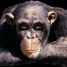 א.א profil fotoğrafı