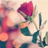 صالح ابو خالد's profile picture