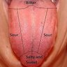 Фото профиля Sublingual