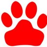 Tomcat Bridgebuilders profil fotoğrafı
