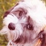 Людмила's profile picture