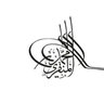 Фото профиля محمد المنقري