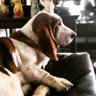 Wytto profil fotoğrafı