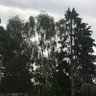 H profil fotoğrafı