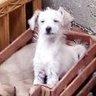 lucasava's profile picture