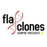 FLA-CLONES 的头像