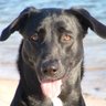 Gypsy's profile picture