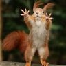 Squirrel Insitute 的头像