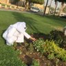 Profilbild von فراج الفراج