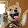 RicoWu's profile picture