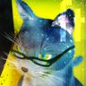 Profilbild von フツララ / futurala