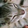 とも profil fotoğrafı