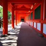 紀田ビークNorwich 的头像