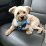 Drew's profile picture