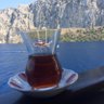 beşiktaşlı's profile picture