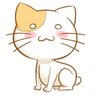 ぽこぽこりん profil fotoğrafı