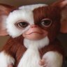 Critter's profile picture