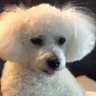 Sue's profile picture