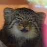 Daniel Duan's profile picture