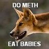 Rabid Dingo profil fotoğrafı
