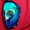 Martin Clark's profile picture
