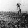 Angel of Verdun 的头像