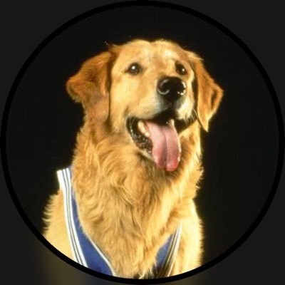Air Bud 🏀🐕's profile picture