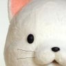 Profilbild von 捨次郎