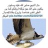انور 的头像