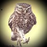 А вот фиг вам!'s profile picture