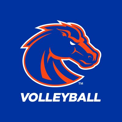 BroncoSportsVB's profile picture