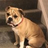Scooter3450's profile picture