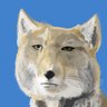 ちんた profil fotoğrafı