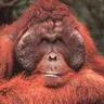 Profilbild von Eric