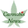 Profilbild von Cannabis News 📰