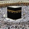 حمزة's profile picture