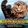 We help animals and people with limited resources profil fotoğrafı