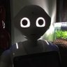 シングルファーザー's profile picture