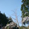はるき 能登の空から 的头像