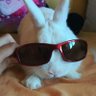 Profilbild von Merengón71 🐰⚽