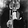 Jazz Tiger's profile picture