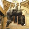 Joseduardo_Sam profil fotoğrafı