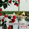 بنت النور 的头像