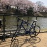 クレス(生成AI、旅行、事業、投資) profil fotoğrafı