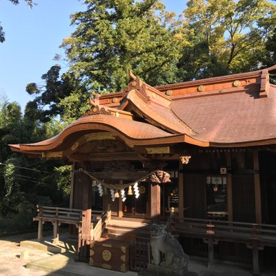 素鵞神社's profile picture