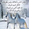 ستار الفتلي 的头像